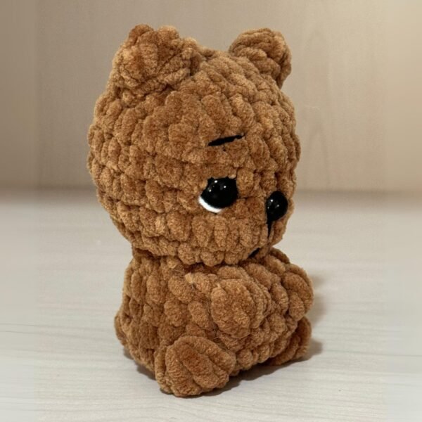 Baby Animals — Bear